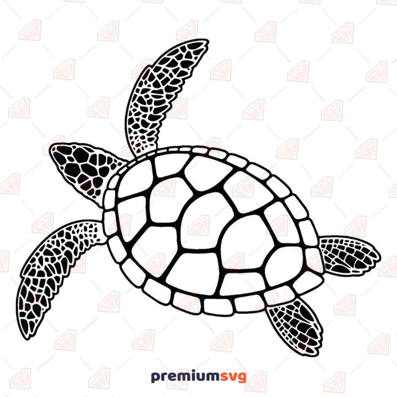 Sea Turtle Outline SVG