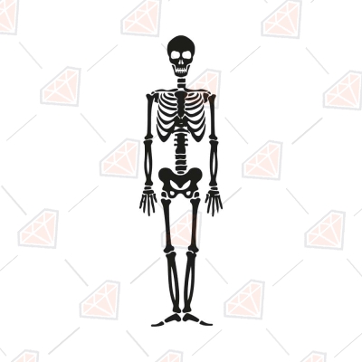 Halloween Stay Spooky With Skeleton SVG Cut Files | PremiumSVG