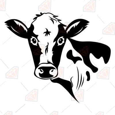 Dairy Cow Head SVG, Angus Face Silhouette | PremiumSVG