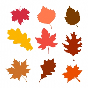 Basic Fall Leaves SVG Cut Files, Leaves Bundle Clipart SVG | PremiumSVG