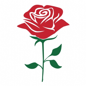 roses vector png