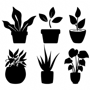 Line Art,Plant,Flower PNG Clipart - Royalty Free SVG / PNG