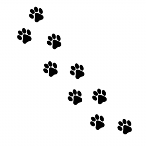 Tiger Paw Print Clipart - Clipart Suggest  Paw print clip art, Tiger paw  print, Paw drawing