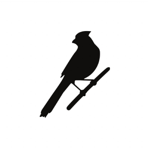 Cardinal Silhouette SVG Download