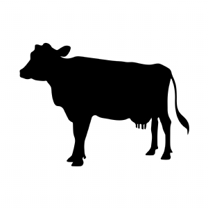 Cow Print SVG | PremiumSVG