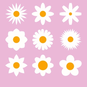 Daisy Flower SVG Bundle, Daisy Bundle Vector Files | PremiumSVG