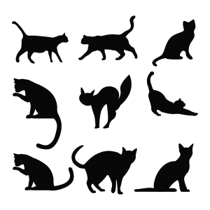 Cat Silhouette SVG Bundle, 9 Cat Designs | PremiumSVG