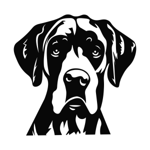 Great Dane Face SVG, Dog Silhouette Files | PremiumSVG