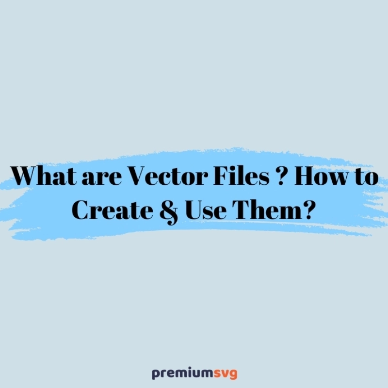 What are Vector Files? How to Create & Use Them?