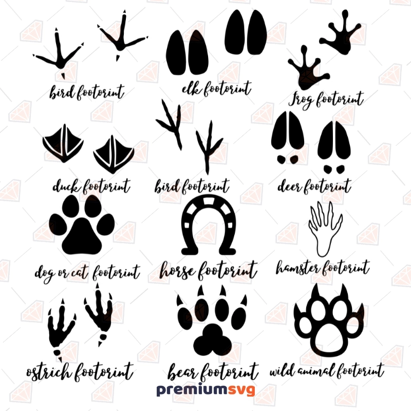 Animal Tracks Bundle SVG, Animal Footprints Clipart Cut Files