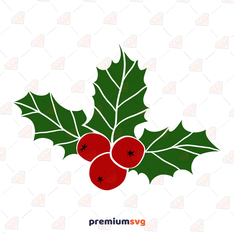 Christmas holly berry symbol Royalty Free Vector Image
