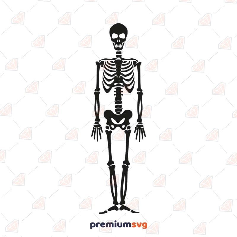 Human Skeleton SVG Cut File, Skeleton Vector Files