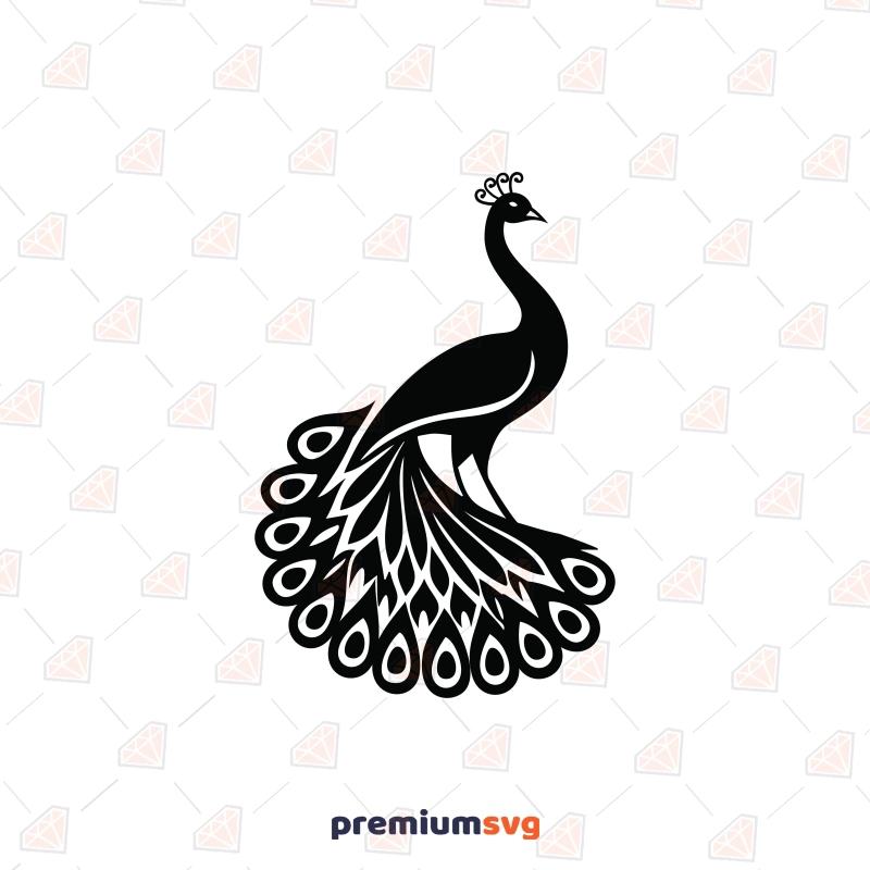 Peacock SVG Bird SVG Svg