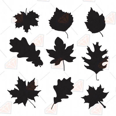 Basic Fall Leaves SVG Cut Files, Leaves Bundle Clipart SVG | PremiumSVG