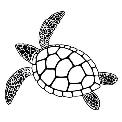 Turtle Svg Cut File, Black Turtle Clipart | PremiumSVG