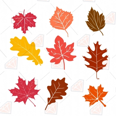 Fall Leaves Bundle Svg Cut And Clipart Files 