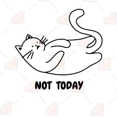 Cat not hot sale today