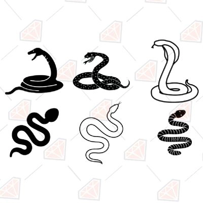 Snakes SVG Bundle Clipart & Cut Files | PremiumSVG
