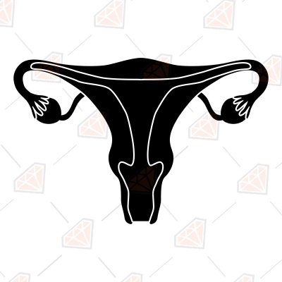 Uterus SVG Vector Cut File, Uterus Clipart SVG Instant Download ...