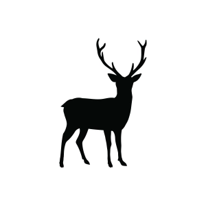 Buck Silhouette SVG, SVG Deer Head Wild & Jungle Animals SVG