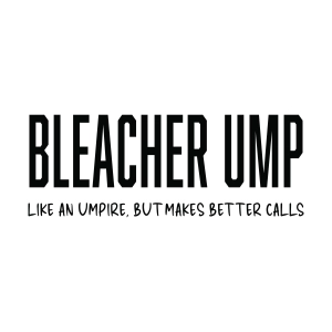 Bleacher Ump SVG, Funny Baseball SVG Shirt Baseball SVG