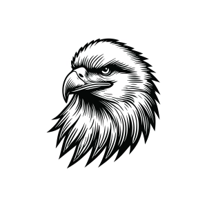 Eagle Head SVG, Hand Drawn Eagle Head SVG Wild & Jungle Animals SVG