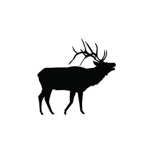 Elk Silhouette SVG, Elk SVG PNG Animal SVG