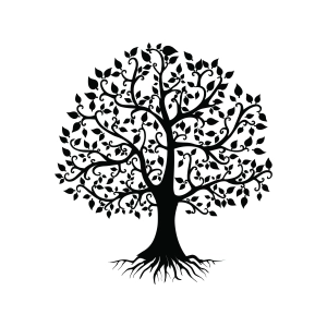 Family Tree SVG, Family Tree Silhouette, Cricut 