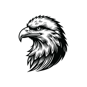 Hand Drawn Eagle Head SVG Wild & Jungle Animals SVG