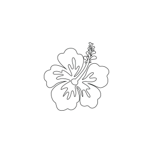 Hibiscus SVG Outline Flower SVG