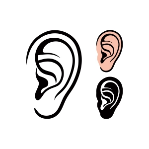 Human Ear SVG, Ear Cliparts Anatomy (Skeleton And Skull)