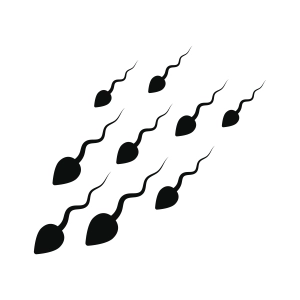 Human Sperm SVG Files, Group of Sperm Silhouettes Funny SVG