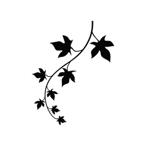 Ivy Branch SVG, IVY Leaves SVG Silhouette Flower SVG