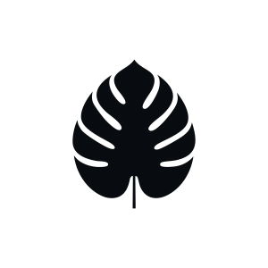 Monstera Leaf Silhouette SVG, PNG, DXF Leaves SVG