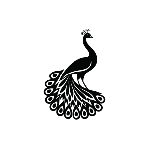 Peacock SVG Bird SVG