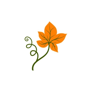 Pumpkin Leaf SVG, Pumpkin SVG Leaves SVG