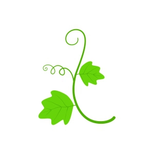 Branch of Pumpkin Leaves SVG, Pumpkin Leaf SVG Pumpkin SVG