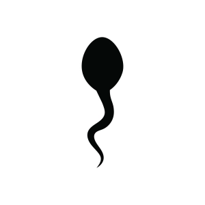 Simple Sperm Silhouette, Sperm SVG Image Vector Objects