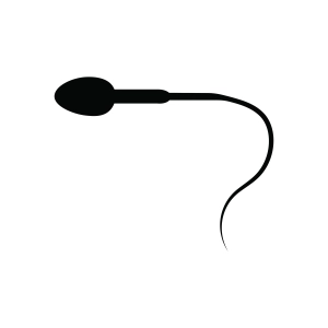 Sperm Cell SVG Cut File, Sperm SVG Silhouette Funny SVG