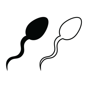 Sperm Silhouette Outline SVG Cut Files Funny SVG