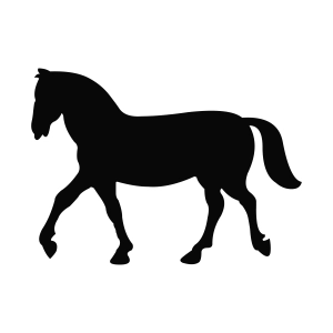 Walking Horse SVG Silhouette | PremiumSVG