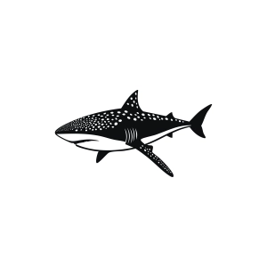 Whale Shark SVG Shark SVG