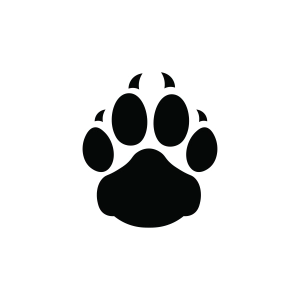 Wildcats Paw SVG, Football Wildcats Paw SVG Football SVG